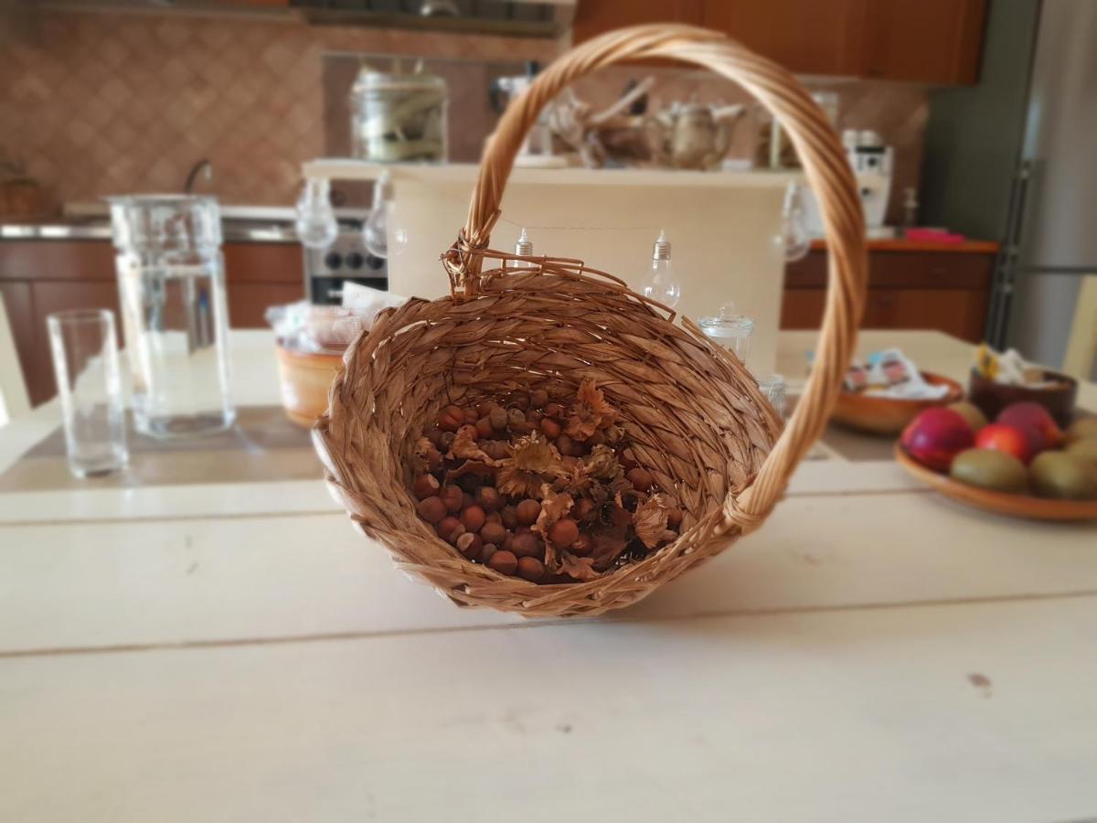 B&B Agreebreak Rende Kültér fotó